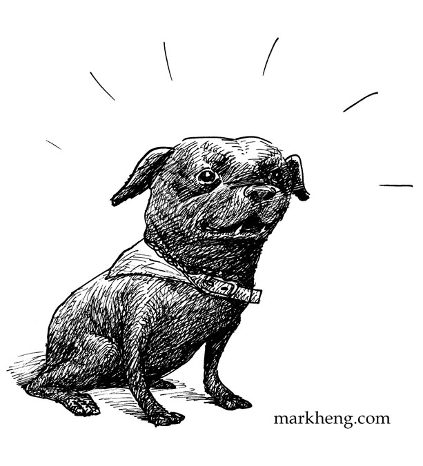 dog-illustration-by-Mark-Heng